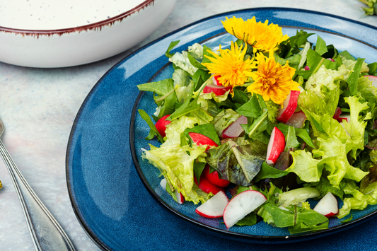 Wildkräutersalat in einem blauen Teller mit Löwenzahnblüten