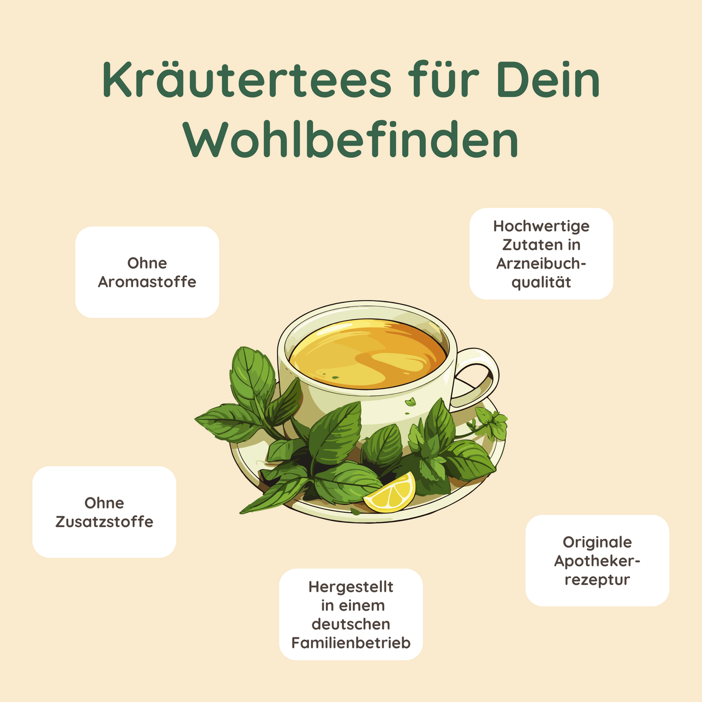 Illustration einer Tasse Kräutertee mit Zitronenscheibe und Minzblättern, umgeben von Texten: ‘Ohne Aromastoffe’, ‘Ohne Zusatzstoffe’, ‘Hergestellt in einem deutschen Familienbetrieb’, ‘Originale Apothekerrezeptur’, und ‘Hochwertige Inhaltsstoffe in Arzneibuch-Qualität’. Überschrift: ‘Kräutertees für Dein Wohlbefinden'