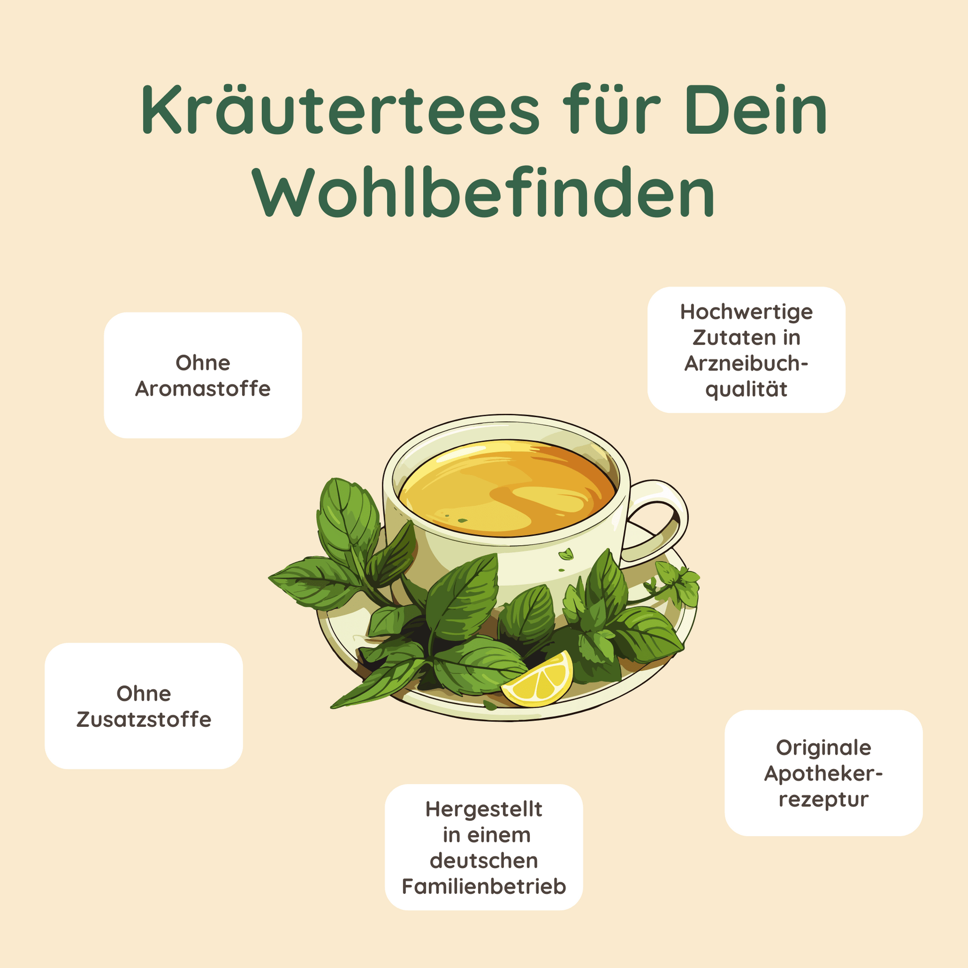 Illustration einer Tasse Kräutertee mit Zitronenscheibe und Minzblättern, umgeben von Texten: ‘Ohne Aromastoffe’, ‘Ohne Zusatzstoffe’, ‘Hergestellt in einem deutschen Familienbetrieb’, ‘Originale Apothekerrezeptur’, und ‘Hochwertige Inhaltsstoffe in Arzneibuch-Qualität’. Überschrift: ‘Kräutertees für Dein Wohlbefinden'