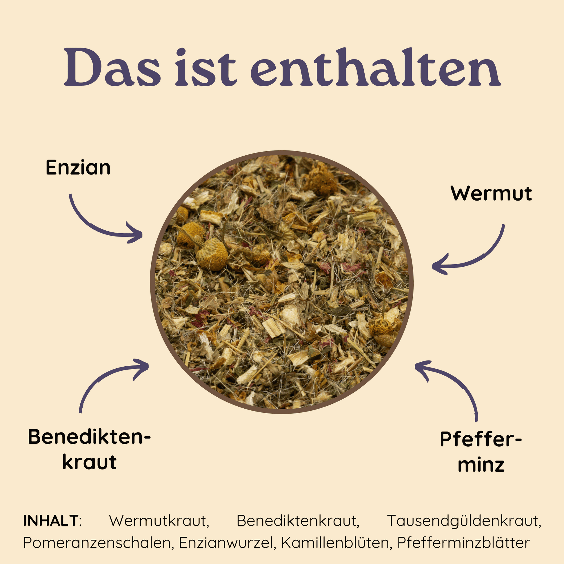 Infografik über die Zutaten des Tees. In der Mitte ist ein Foto vom Inhalt des Bittertees mit verschiedenen Pfeilen, die auf die einzelnen Bitterkräuter verweisen. Unten werden nochmal alle Inhaltsstoffe des Kräutertees aufgelistet.