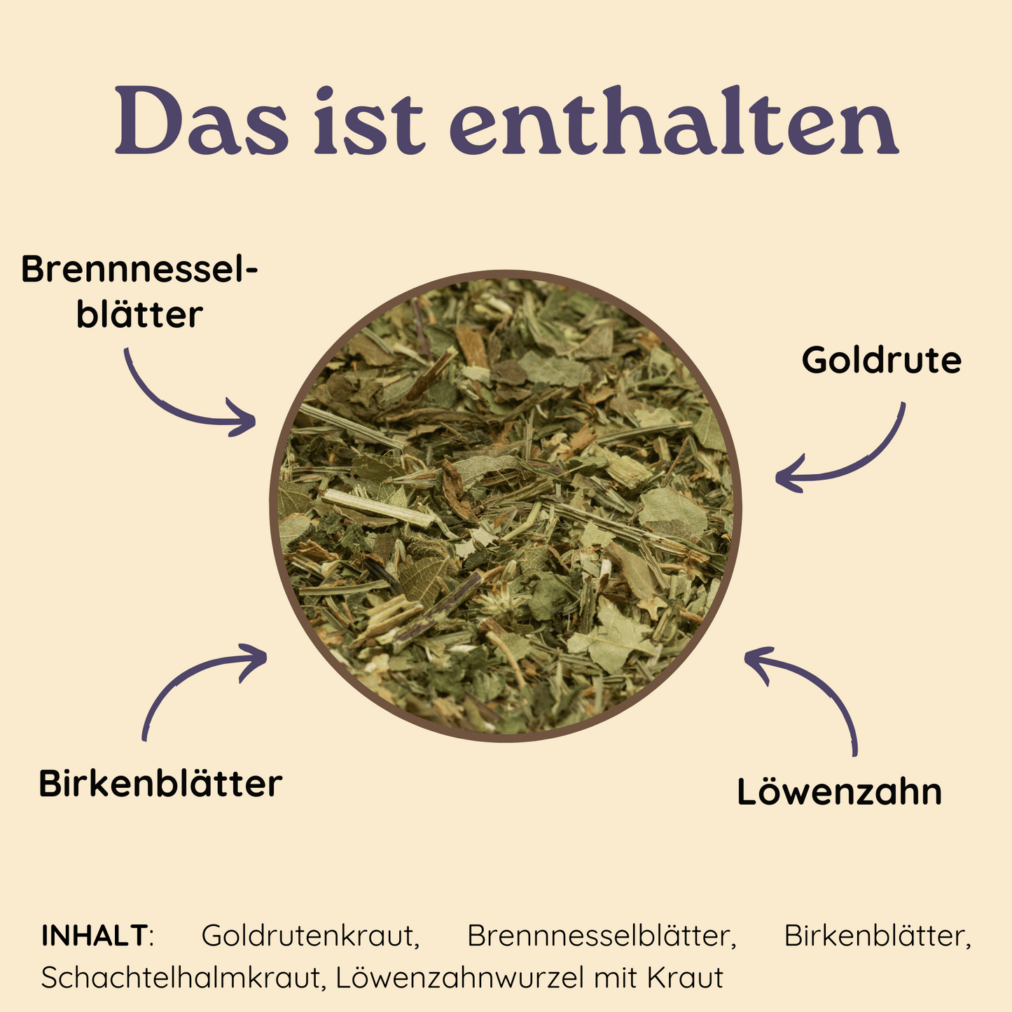 Kreisförmige Nahaufnahme von losem Kräutertee mit Pfeilen zu den Bestandteilen Brennnesselblätter, Goldrute, Birkenblätter und Löwenzahn auf beigefarbenem Hintergrund.