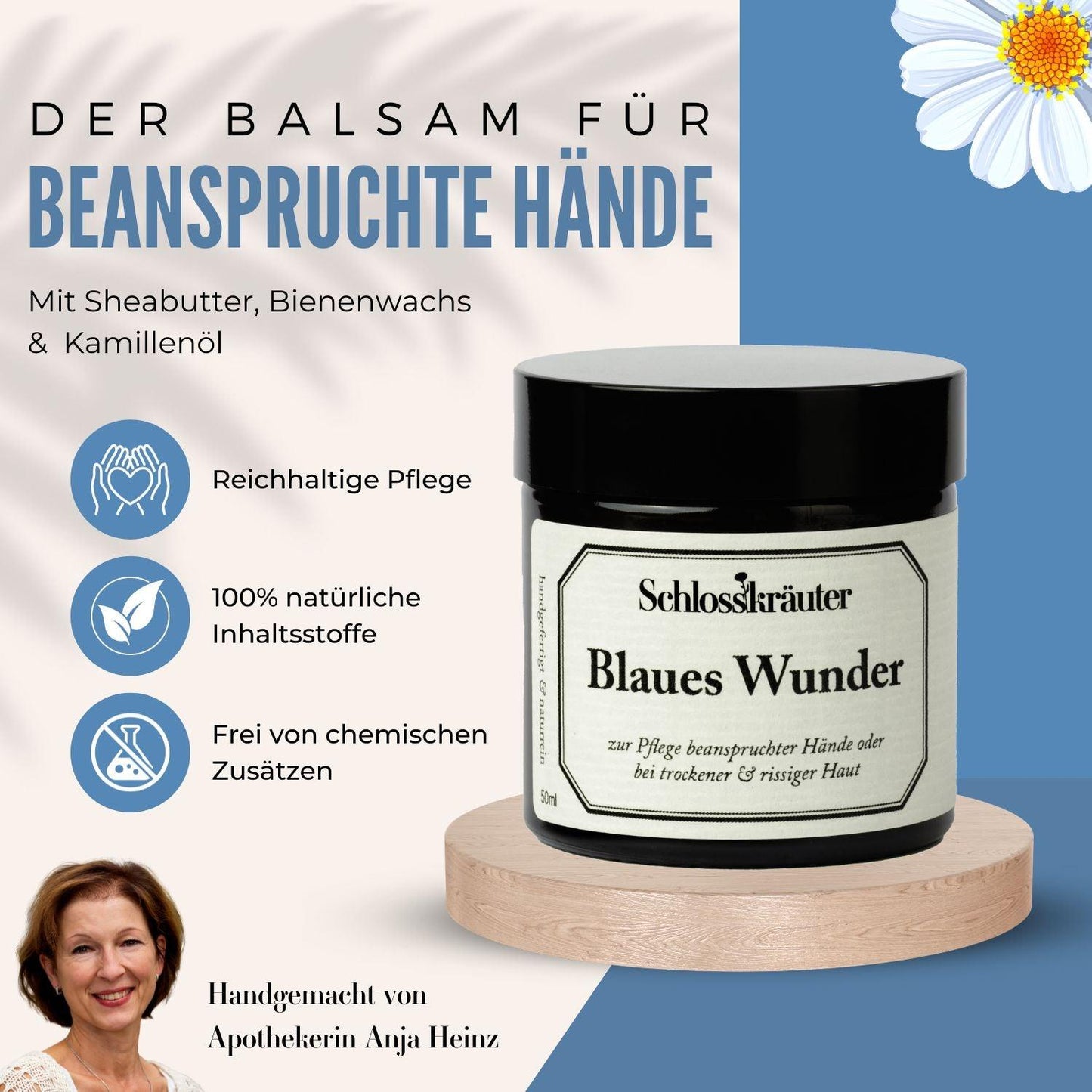 Blaues Wunder Infografik