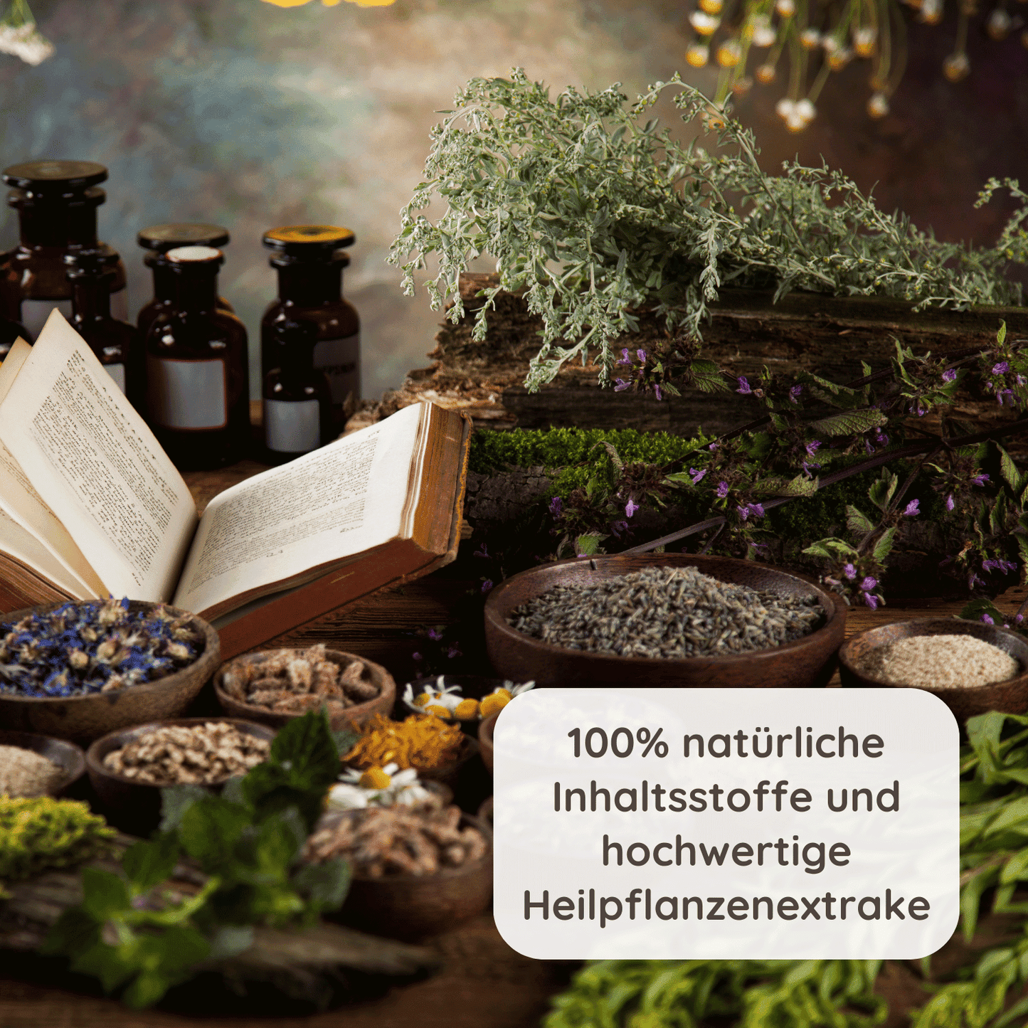Ein Bild mit einer Auswahl an Heilpflanzen und Kräutern, die in Schalen und auf einem Tisch arrangiert sind. Ein offenes Buch und einige braune Glasflaschen sind ebenfalls sichtbar. Text im Bild: “100% natürliche Inhaltsstoffe und hochwertige Heilpflanzenextrakte”.