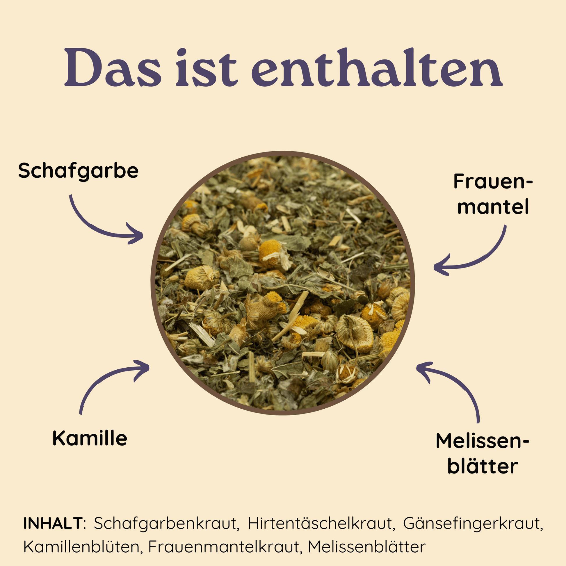 Kreisförmige Nahaufnahme von losem Kräutertee mit Pfeilen zu den Bestandteilen Kamille, Schafgarbe, Frauenmantel und Melissenblättern auf beigefarbenem Hintergrund.