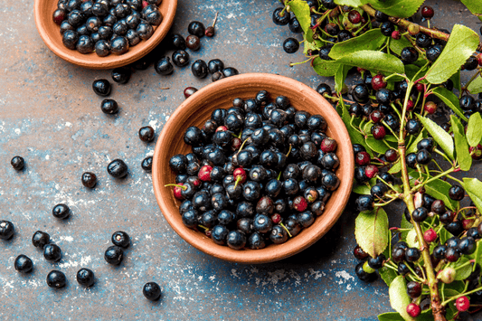 Frische Heidelbeeren in einer Schale. Die Beeren gelten als Superfood und sind besonders reich an Vitaminen und Antioxidantien