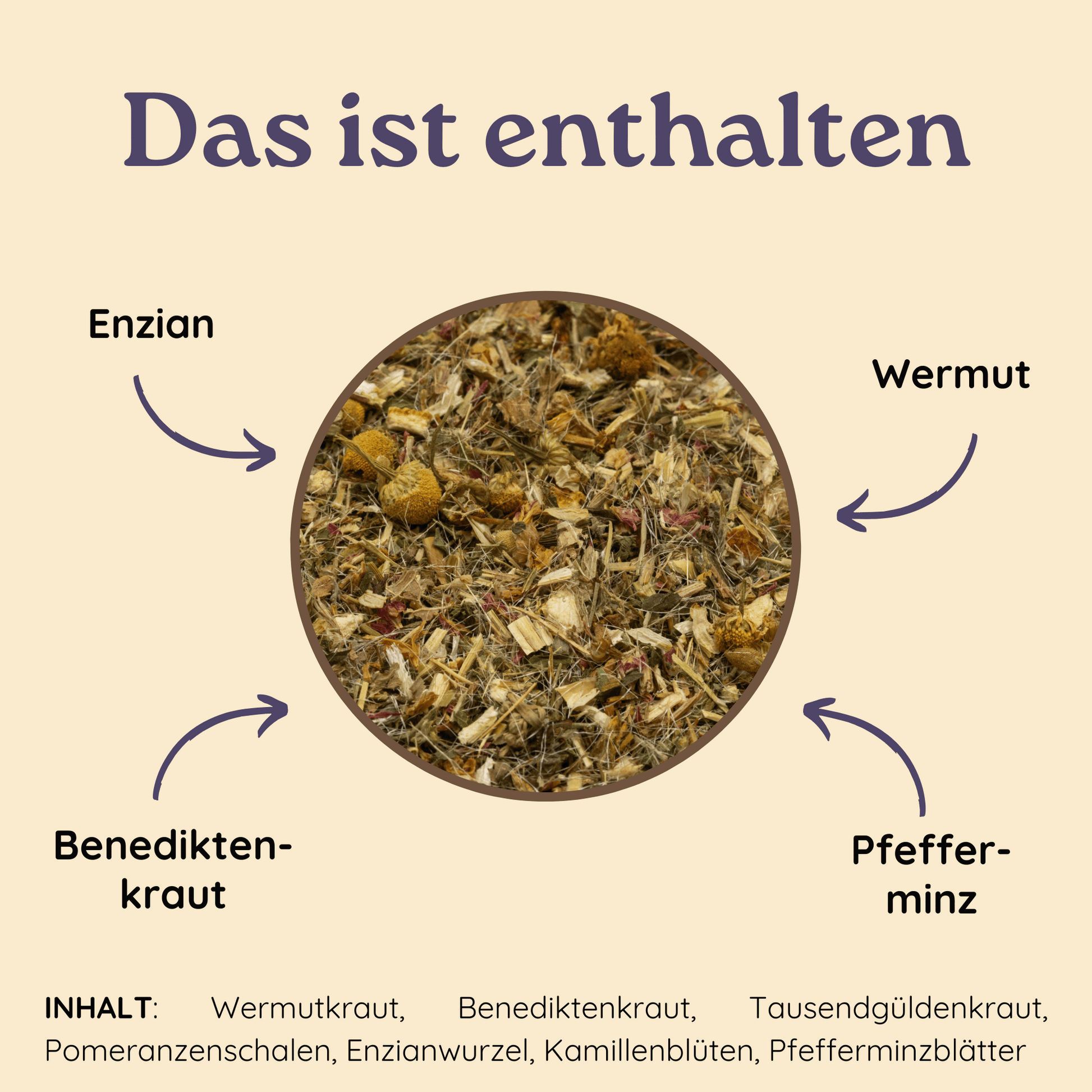 Infografik über die Zutaten des Tees. In der Mitte ist ein Foto vom Inhalt des Bittertees mit verschiedenen Pfeilen, die auf die einzelnen Bitterkräuter verweisen. Unten werden nochmal alle Inhaltsstoffe des Kräutertees aufgelistet.