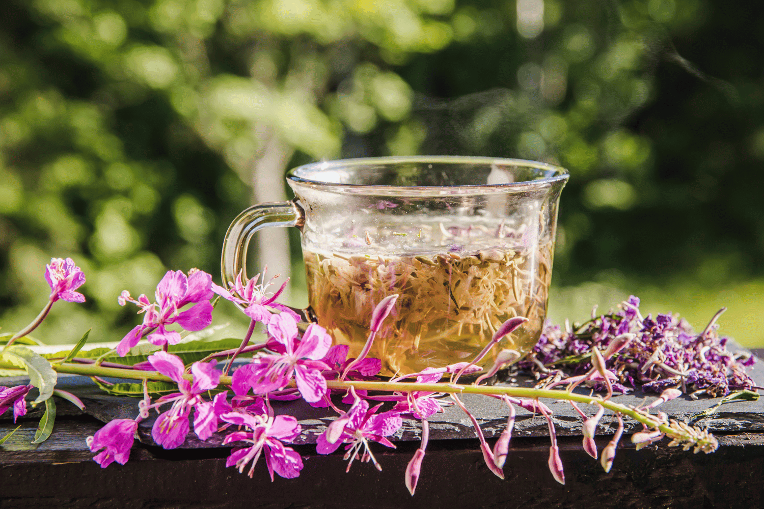 Eine Tasse Weidenröschen Tee mit frischem, kleinblütigen Weidenröschen daneben. Weidenröschentee wird dabei oft als Prostatatee verwendet.